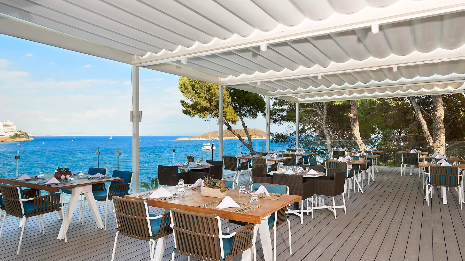 Melia Calvia Beach Magaluf  Hotel
