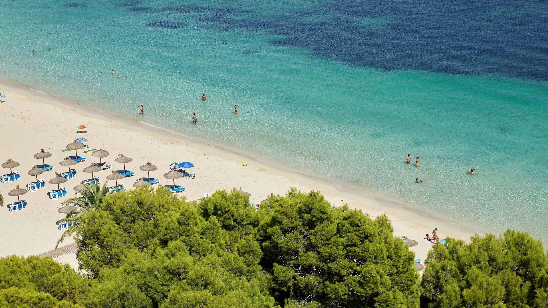 Meliá Calviá Beach Magaluf