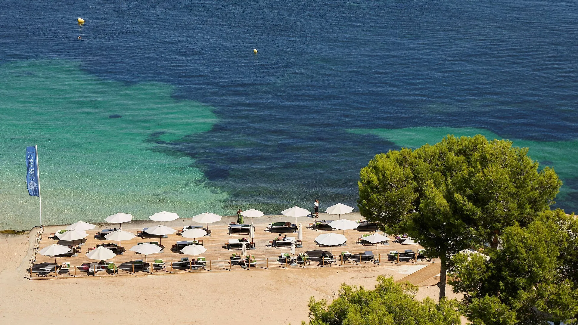 Meliá Calviá Beach Magaluf 4*,